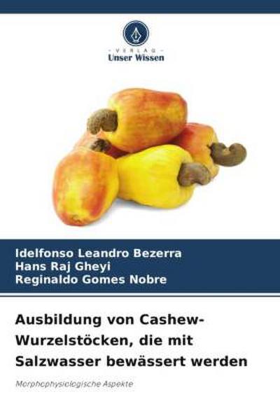 Ausbildung von Cashew-Wurzelstöcken, die mit Salzwasser bewässert werden