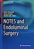 NOTES and Endoluminal Surgery