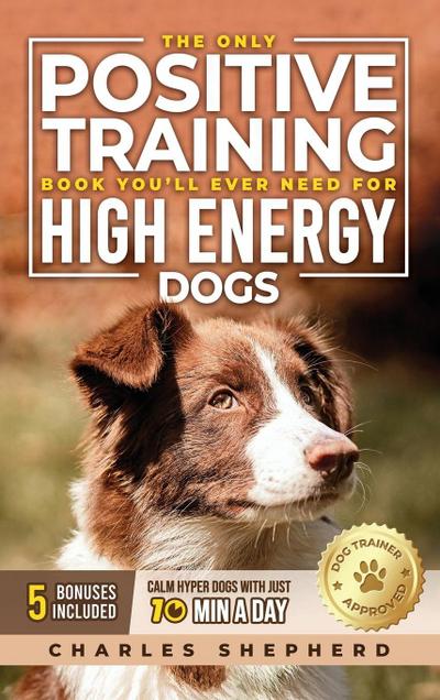 The Only Positive Training Book You’ll Ever Need for High-Energy Dogs