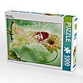 Fee Jewel (Puzzle)