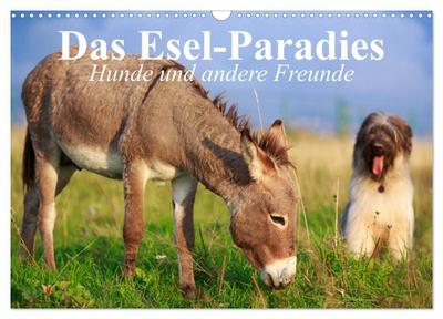 Das Esel-Paradies - Hunde und andere Feunde (Wandkalender 2024 DIN A3 quer), CALVENDO Monatskalender