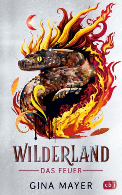 Wilderland - Das Feuer (Bd. 2)