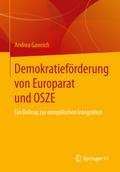 Demokratieförderung in Europarat und OSZE