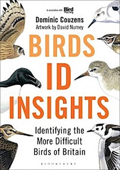 Birds: ID Insights