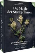 Magie der Stadtpflanzen
