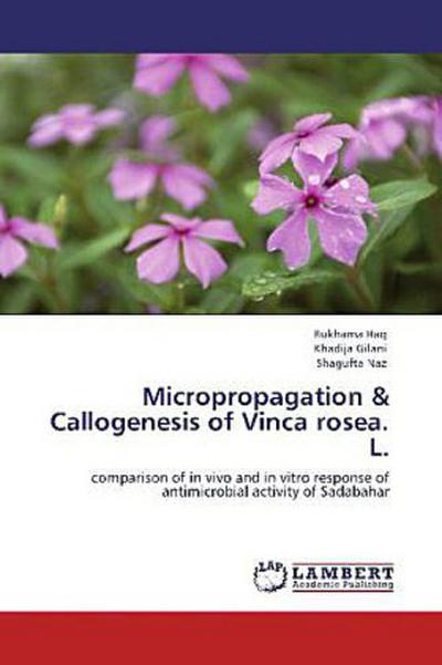 Micropropagation & Callogenesis of Vinca rosea. L.