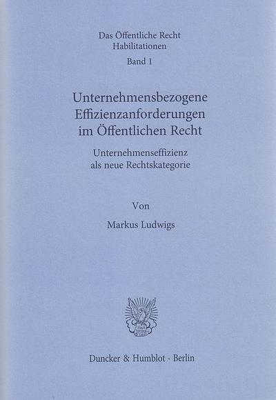 Unternehmensbezogene Effizienzanforderungen im Öffentlichen Recht.