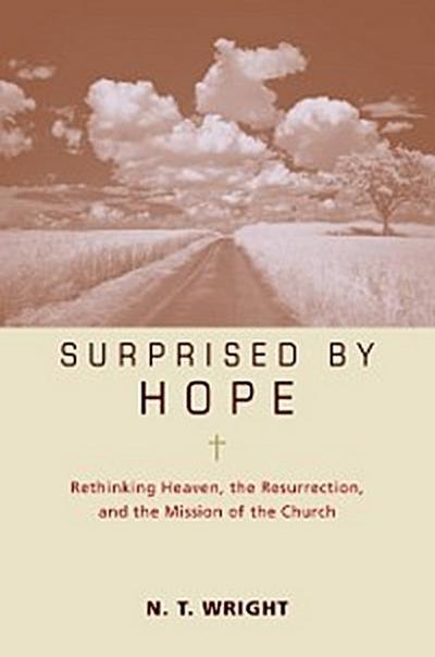 Surprised by Hope Bible Study Participant’s Guide
