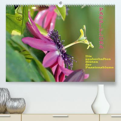 Passiflora (Premium, hochwertiger DIN A2 Wandkalender 2020, Kunstdruck in Hochglanz)
