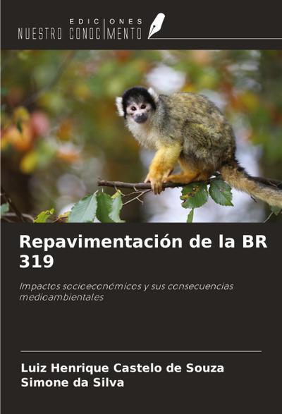Repavimentación de la BR 319