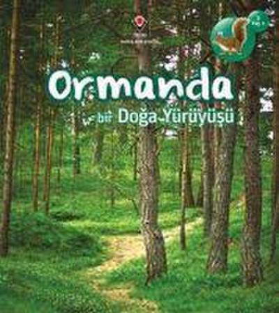 Ormanda Bir Doga Yürüyüsü
