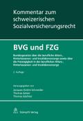 BVG und FZG