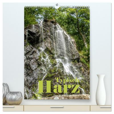 Typisch Harz (hochwertiger Premium Wandkalender 2026 DIN A2 hoch), Kunstdruck in Hochglanz