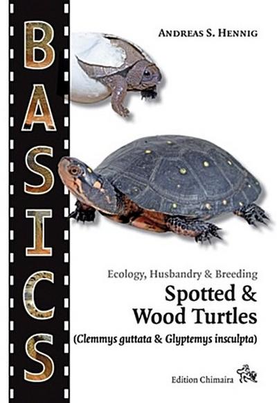 Spotted Turtle and North American Wood Turtle