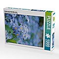Vergissmeinnicht (Myosotis) (Puzzle)