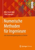 Numerische Methoden für Ingenieure