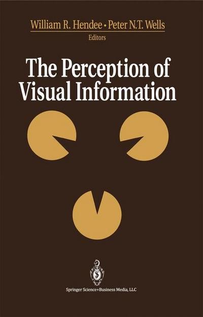 Perception of Visual Information
