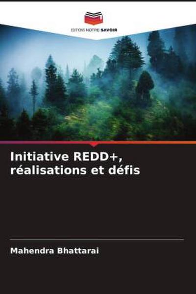 Initiative REDD+, réalisations et défis