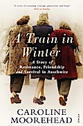 A Train in Winter