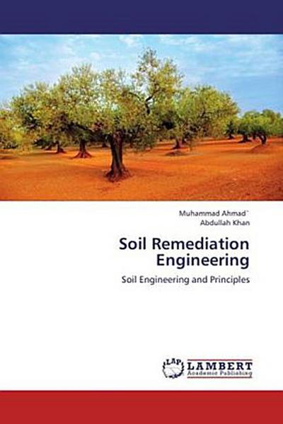 Soil Remediation Engineering