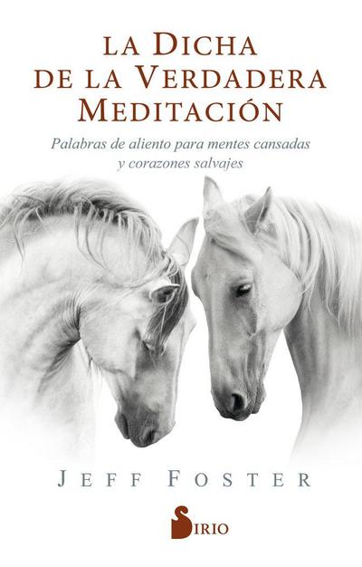 Dicha de la Verdadera Meditacion, La