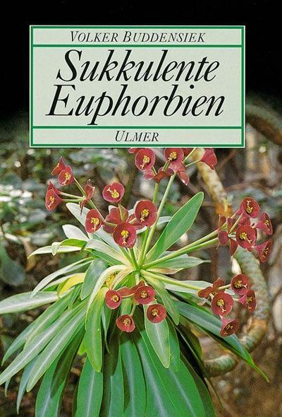 Sukkulente Euphorbien 