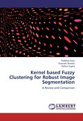 Kernel based Fuzzy Clustering for Robust Image Seg