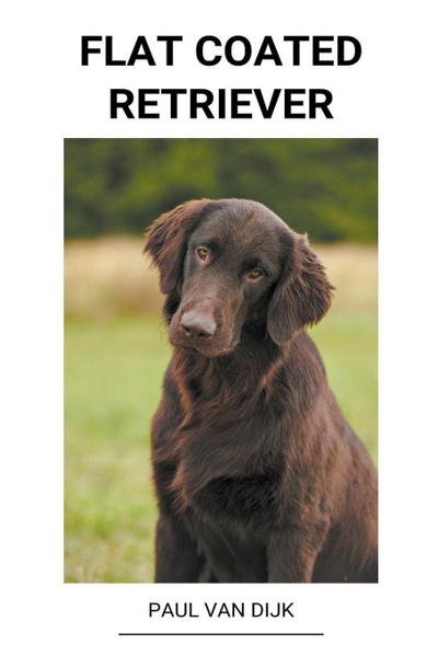 Dijk, P: Flat Coated Retriever