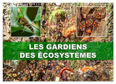 Les gardiens des écosystèmes (Calendrier mural 2026 DIN A3 vertical), CALVENDO calendrier mensuel