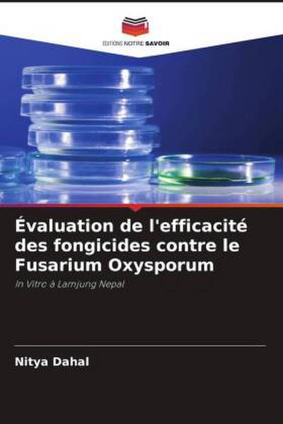 Évaluation de l’efficacité des fongicides contre le Fusarium Oxysporum
