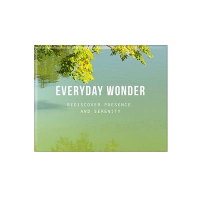 Everyday Wonder