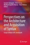 Perspectives on the Architecture and Acquisition o
