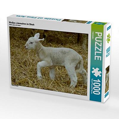 Weißes Lämmchen im Stroh (Puzzle)