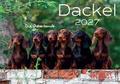 Dackel 2027 Eintragkalender