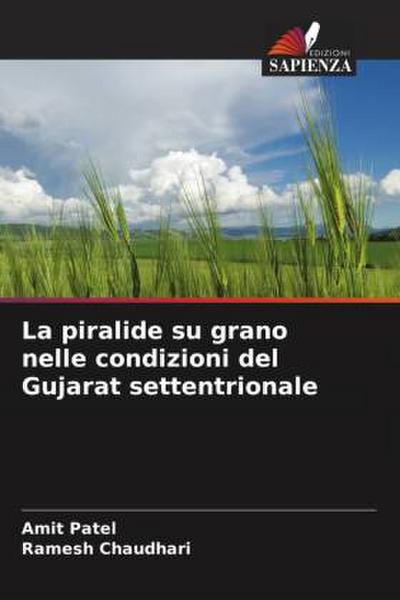 La piralide su grano nelle condizioni del Gujarat settentrionale