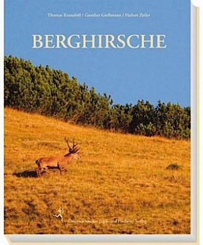 Berghirsche