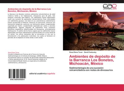 Ambientes de depósito de la Barranca Los Bonetes, Michoacán, México