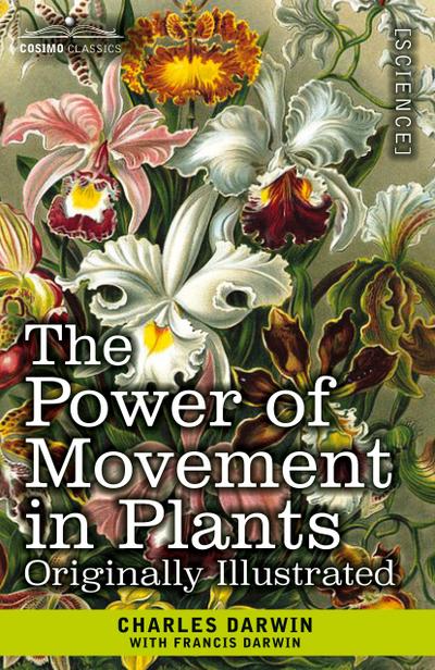 The Power of Movement in Plants