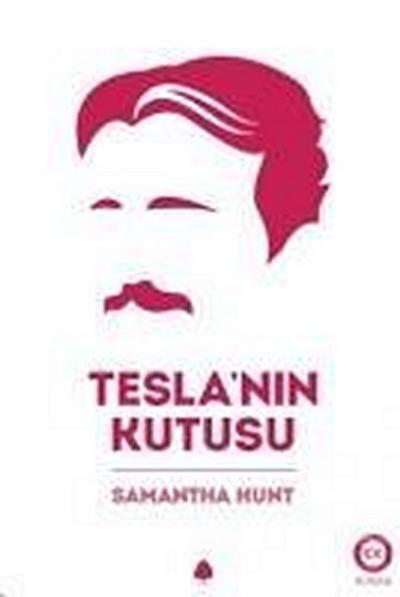 Teslanin Kutusu