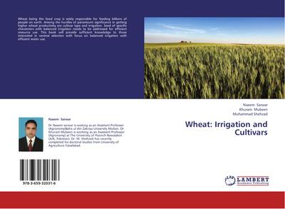 Wheat: Irrigation and Cultivars