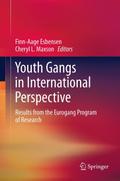 Youth Gangs in International Perspective