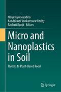 Micro and Nanoplastics in Soil