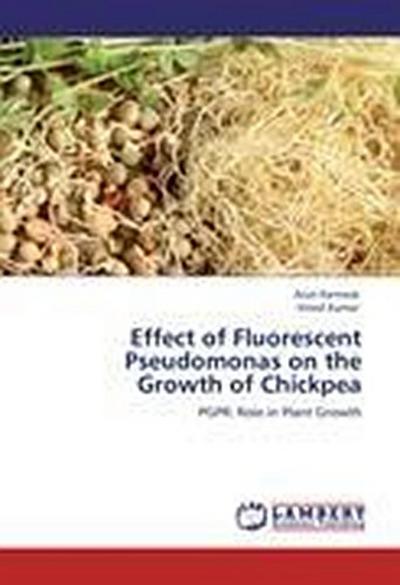 Effect of Fluorescent Pseudomonas on the Growth of Chickpea