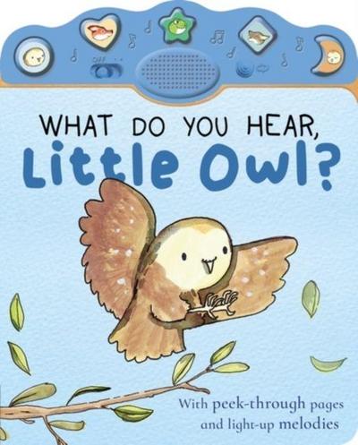 What Do You Hear, Little Owl?