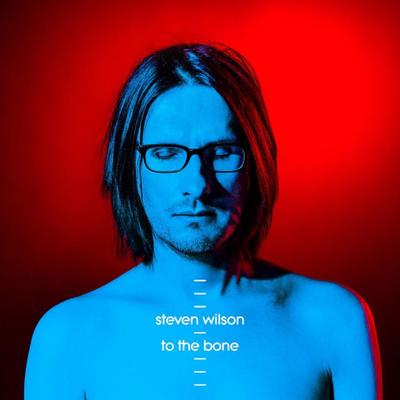 To the Bone Steven Wilson Primary Artist