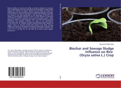 Biochar and Sewage Sludge Influence on Rice (Oryza sativa L.) Crop