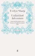 Unfinished Adventure