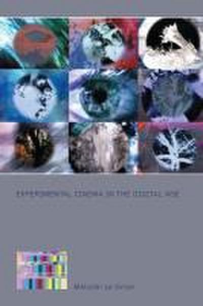 Experimental Cinema in the Digital Age