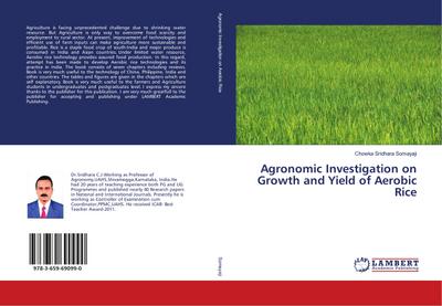 Agronomic Investigation on Growth and Yield of Aerobic Rice