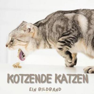 Kotzende Katzen